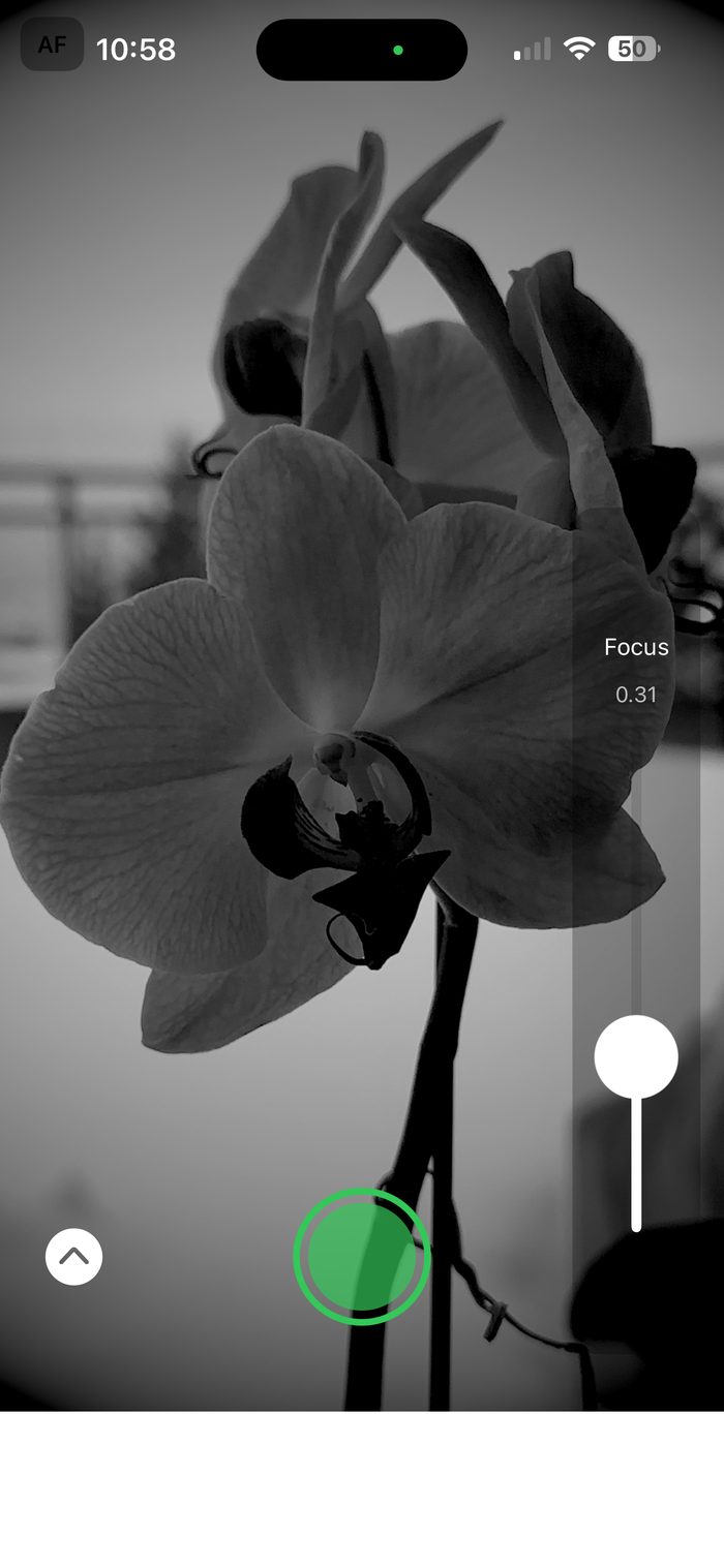Black and white filter previewed live before capture