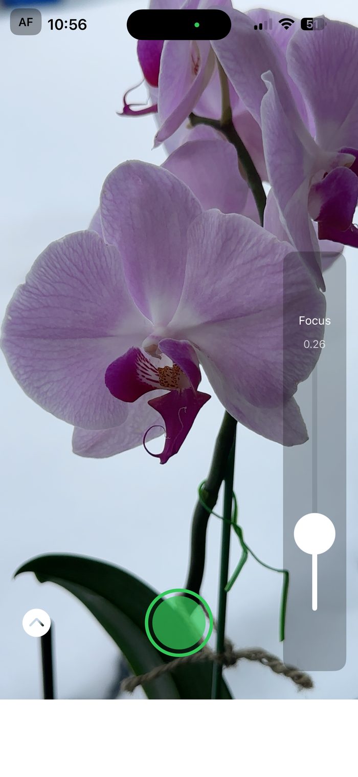 Manual Focus Camera main screen with the focus slider on the right of the live preview